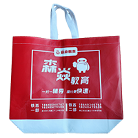 南岸LB37培训班广告袋